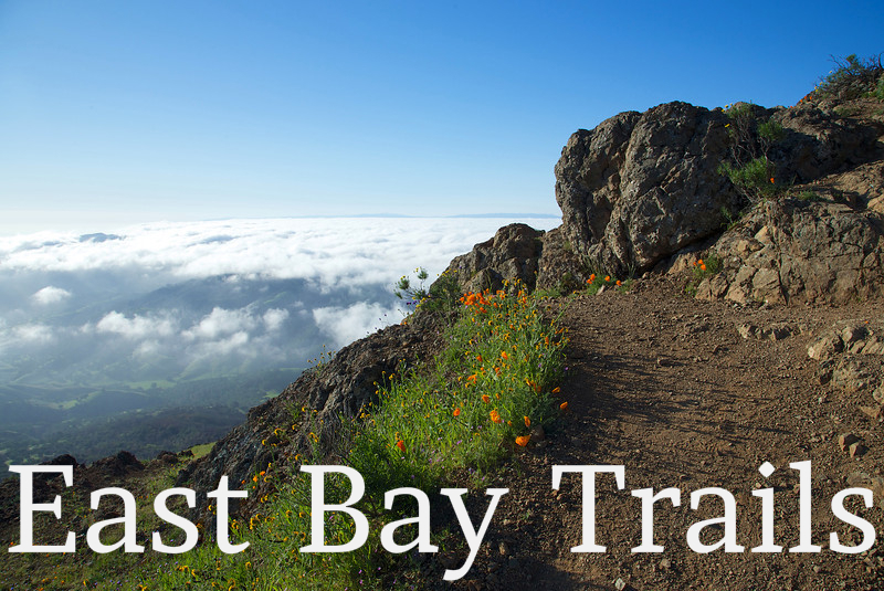 East Bay Trails